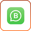 WhatsApp Business